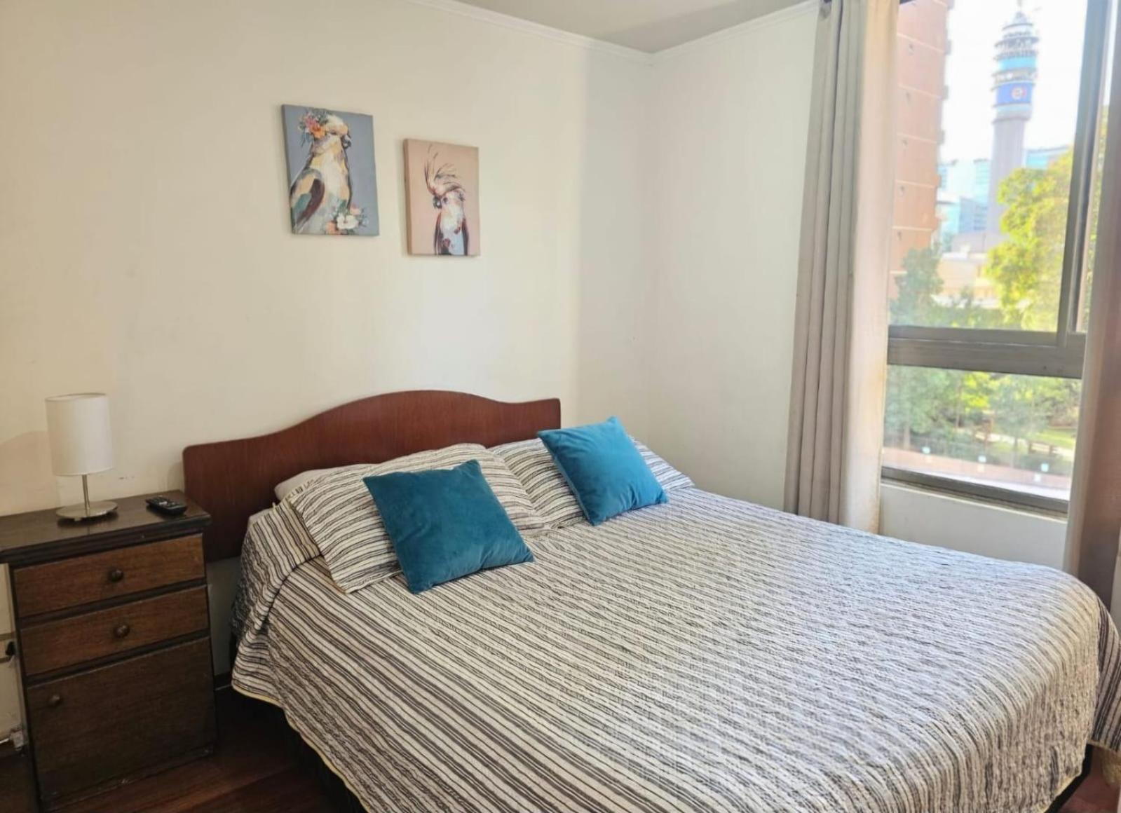 Apart Hotel Suagon Suites Santiago Centro Eksteriør billede