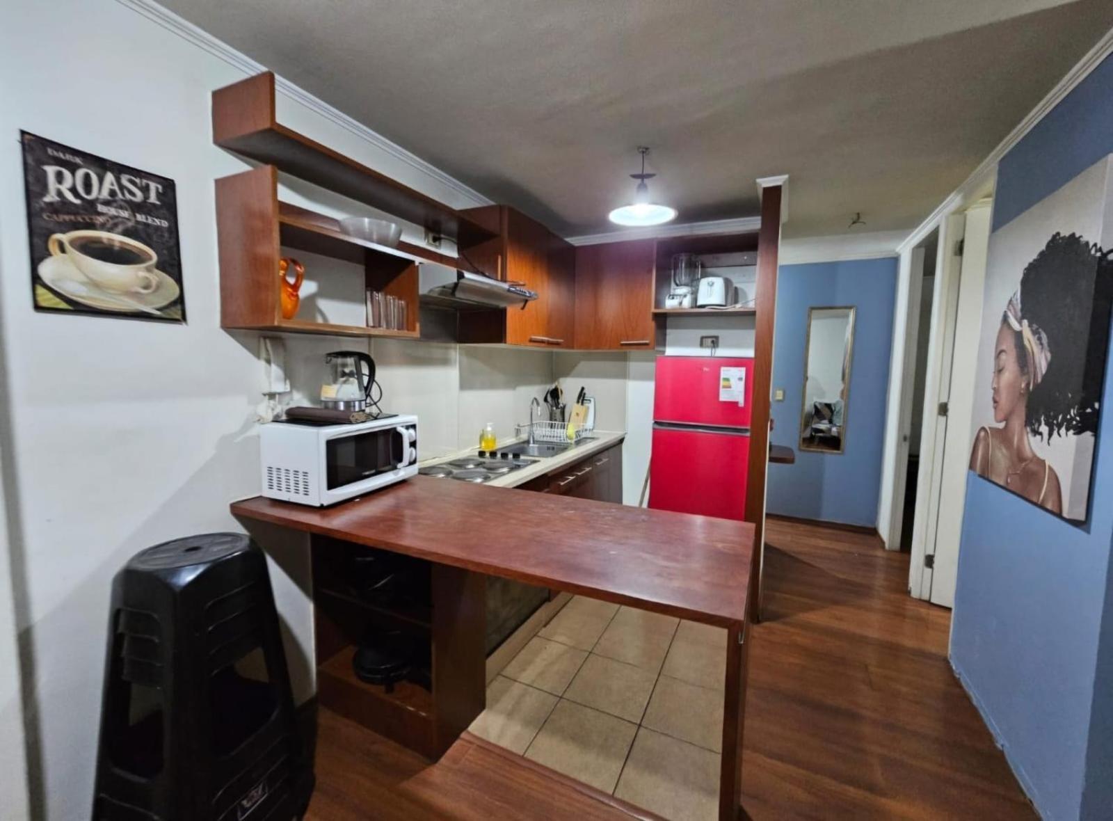 Apart Hotel Suagon Suites Santiago Centro Eksteriør billede
