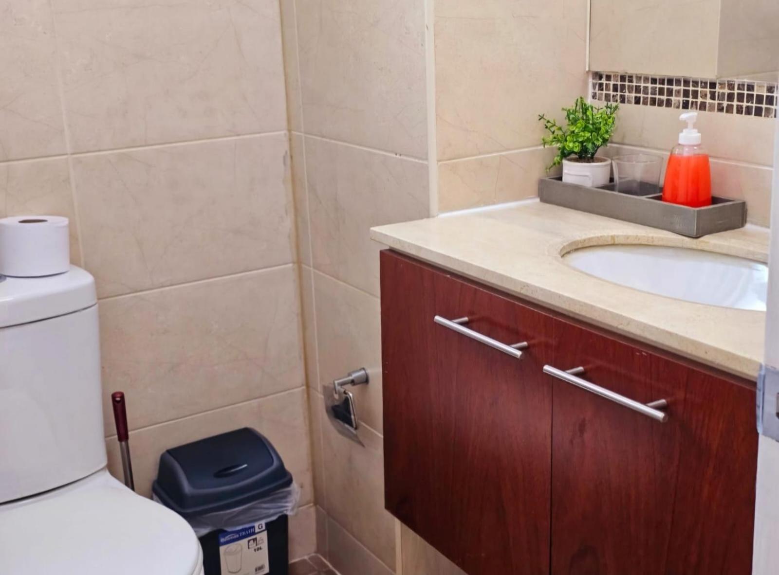 Apart Hotel Suagon Suites Santiago Centro Eksteriør billede