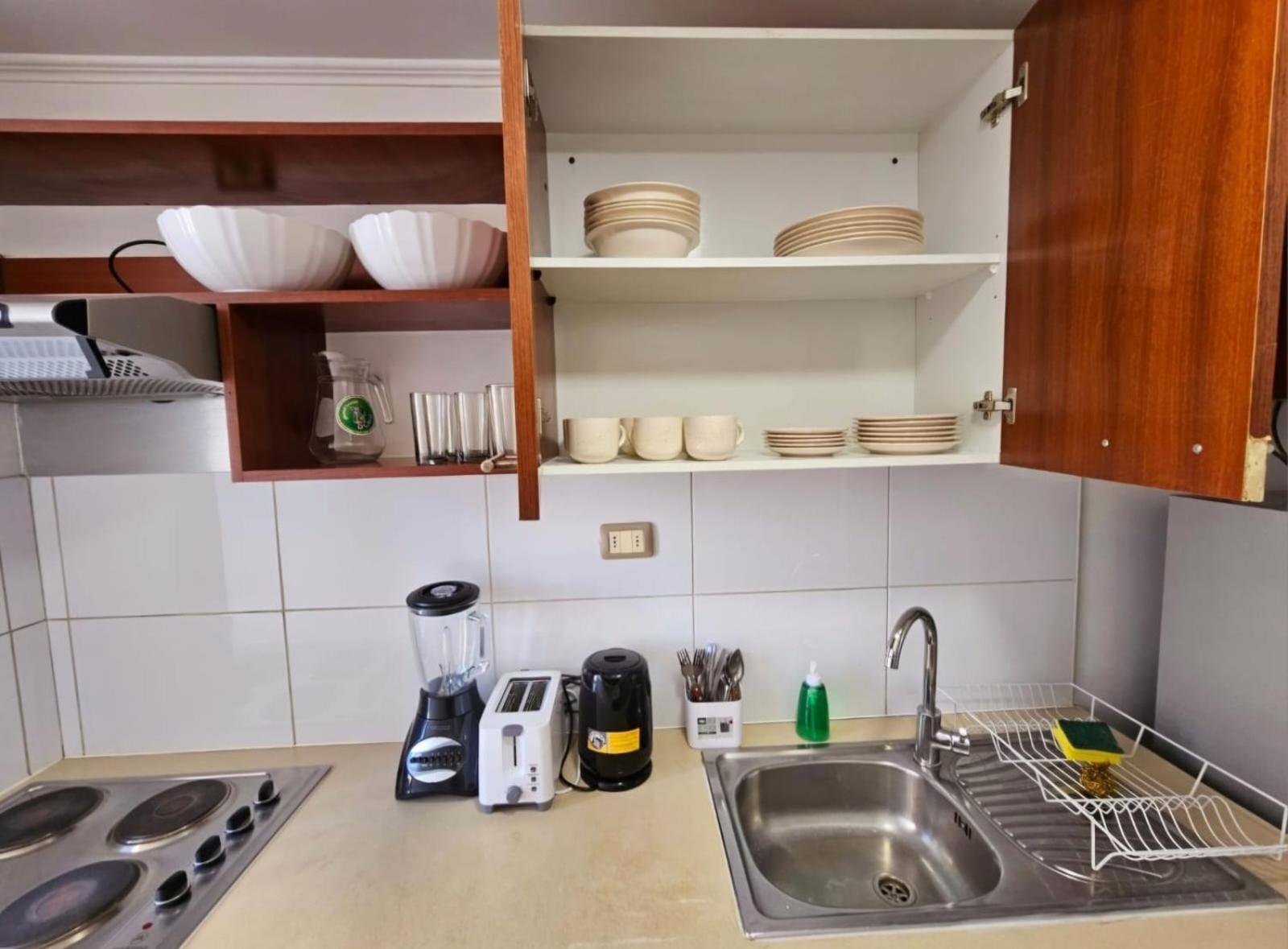 Apart Hotel Suagon Suites Santiago Centro Eksteriør billede